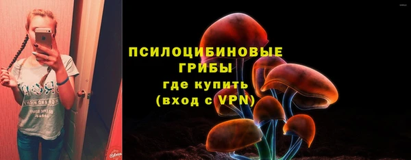 дмт Нефтегорск
