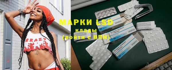 гашик Болохово